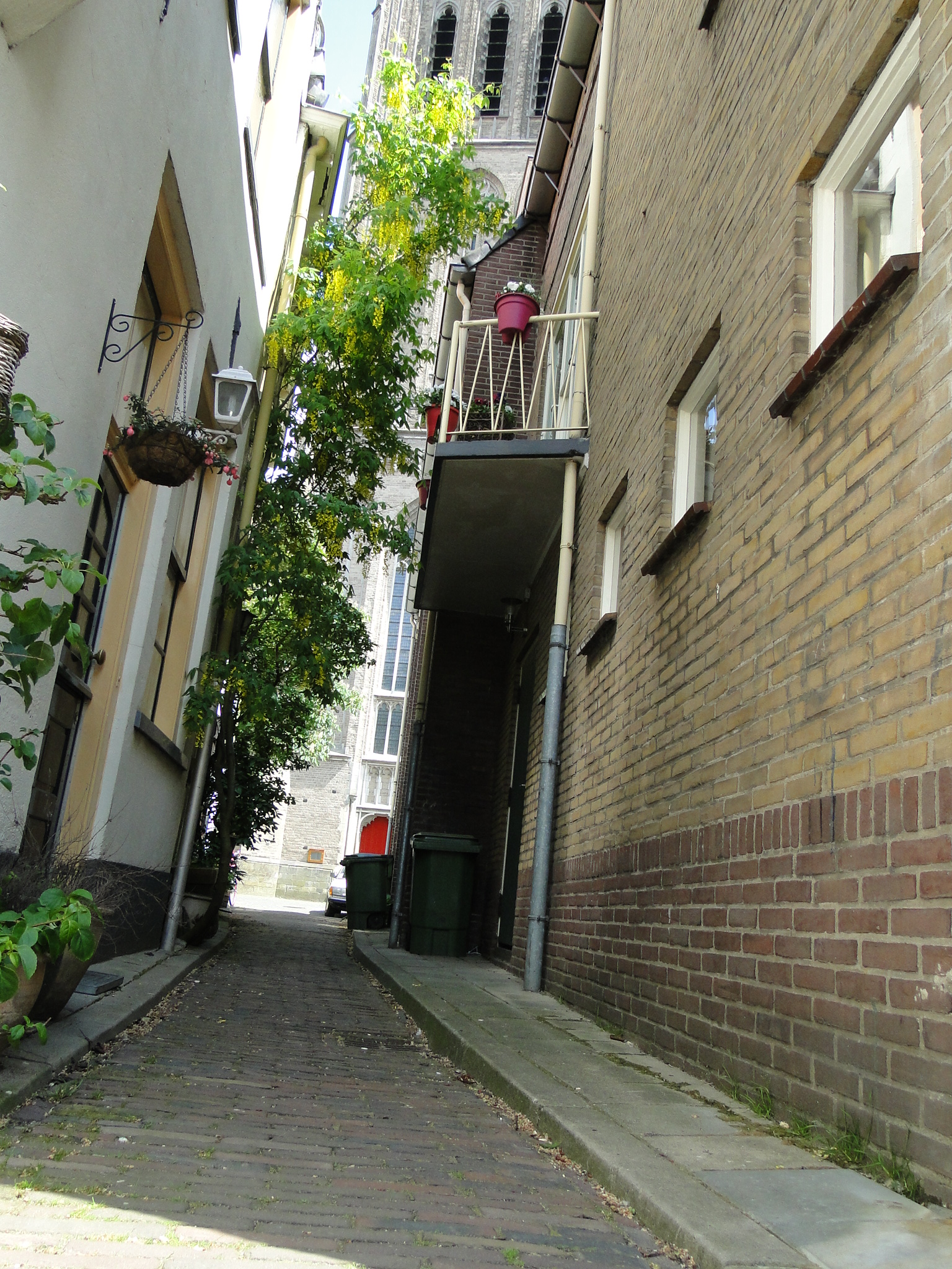 HWK 2012 290.jpg